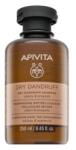 APIVITA Dry Dandruff Shampoo sampon hranitor anti mătreată 250 ml