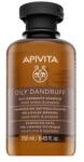 APIVITA Oily Dandruff Shampoo sampon de curatare anti mătreată 250 ml