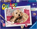 Ravensburger Set de pictură după numere Ravensburger CreArt - Prietenii păturii (7020210)