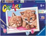 Ravensburger Set de pictură după numere Ravensburger CreArt - Pisicuțe (7023562)