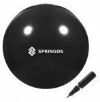 Springos Gimnasztikai Fitnesz Labda Pilates Terhes Rehabilitáció 85 cm (FB0015)