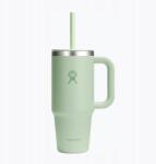 Hydro Flask Thermo bögre Hydro Flask All Around Travel Tumbler 710 ml aloe 710 ml (840394204895)