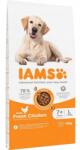 Iams Vitality Dog Senior Large Chicken száraz Eledel 12 kg