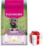 EUKANUBA EUKANUBA Growing Puppy Small Breed 3 kg csirke + ingyenes meglepetés kutyájának