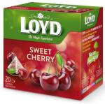 LOYD piramis tea cseresznye 20x2g