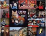 Chronicle Books 12227 - Star Trek Cats - 1000 db-os puzzle (12227)