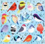 Galison 57655 - Mudpuppy - Songbirds - 500 db-os puzzle (57655)