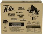 FELIX Fantastic Multipack tasakos eledel - marhával, csirkével, kacsával és báránnyal zselében 80 x 85 g