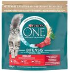 ONE STERILCAT Marhás