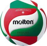 Molten V5M2200 (21718-uniw) (21718-uniw)