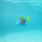 Swim Ways SwimWays Rainbow Reef Beta Fish (6072503) (6072503)