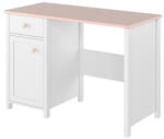  Íróasztal Elblive 120