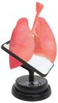 Eastcolight Macheta anatomica de asamblat Eastcolight, Plamanii