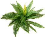 EUROPALMS Boston Fern, artificial plant, 53cm (82519934)