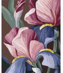 Brushme Számozott kifestő készlet, feszített vásznon, 40x50 cm - Yana Biluhina: Roosters: Írisz