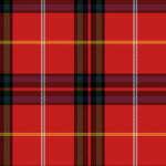 Takoy Jersey Punto di Roma Vera kockás minta piros