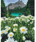 Brushme Számozott kifestő készlet, feszített vásznon, 40x50 cm - Margaréták a hegyek mellett