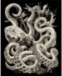 Royal & Langnickel Karckép gravírozó készlet karctűvel, 20x25 cm - Octopus, sötétben világító