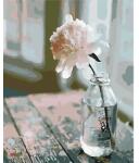 Brushme Számozott kifestő készlet, feszített vásznon, 40x50 cm - Elegáns bazsarózsa