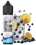 Steam Train Disposable Edition Blue Razz Lemonade 20ml/60ml