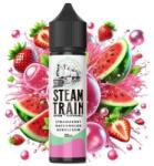 Steam Train Disposable Edition Strawberry Watermelon Bubblegum 20ml/60ml