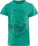 ALPINE PRO Dexo (ktse401734r)