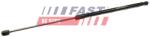 FAST Amortizor portbagaj FAST FT94805 (FT94805)