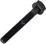 DT Spare Parts Surub, galerie evacuare DT Spare Parts 4.40089 (4.40089)