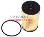 FAST Filtru ulei FAST FT38066 (FT38066)