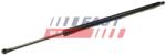 FAST Amortizor portbagaj FAST FT94802 (FT94802)