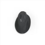 Hama EWM-500L (173089) Mouse
