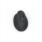 Hama EWM-500R (173088) Mouse