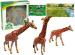 inna Zsiráfok Figurák Oktatócsalád 3 db + Afrika háttér