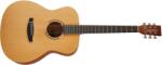 Tanglewood TR3