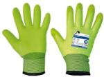 CERVA Manusi protectie frig Cerva TURTUR WINTER, verde, mas. 10 (0119001170100) - bricolaj-mag
