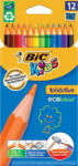 BIC Creioane colorate BIC Evolution, 12 culori (BC82902914)