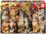 Educa Puzzle Educa din 500 piese - Pisicuțe și păsări (EDU20241) Puzzle