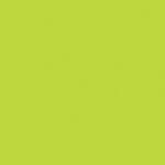  Kivi Zöld Maki Szalvéta 20 db 33x33 cm