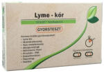 Vitamin Station Lyme-kór gyorsteszt 1db
