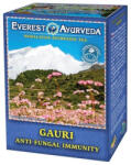 Everest Ayurveda Gauri candida és bőrgomba tea 100g