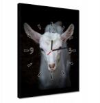ZeSmakiem Órák 30x40 Fehér kis kecske állat (H9913M_Z1D_30x40cm AZ)