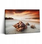 Wallfluent Fotó Vászonkép A dolgozószobába Kortárs Kagyló A Tengerparton 30x20 cm (010030010150000075027)