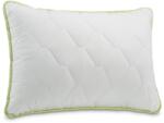 Dormeo perna Clasica Aloe Vera II 50x70 cm (1000227806)