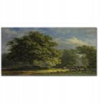 Coloray Vászonkép keretben Erdő ég ló 100x50 cm (010030010010000018826)