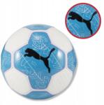 PUMA Edzőlabda Puma Prestige Ball fűnyíró lábhoz 083992 12 méret 5 (083992 12)