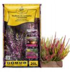 KIK Föld Aljzat Hanga És Fekélyekhez komposzttal és műtrágyával 20L Kik (ziemia do wrzosów i wrzośców)