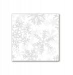 Tulup Vászonkép 40x40 Tél Hópelyhek (ock-40x40-293474489)