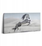 Wallfluent Canvas Fotó Edzőterem Vászon Fa Kerettel Galoppozó Fehér Ló (010030010010000075342)