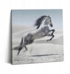 Wallfluent Vászonkép Canvas Stílusos Ajándék Hálószobába Galoppozó Fehér Ló 60x60 cm (010030010270000075342)