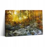 Wallfluent Fotó Falikép Vászon Könnyű Összeszerelés Nappaliba Őszi erdő 30x20 cm (010030010150000074955)